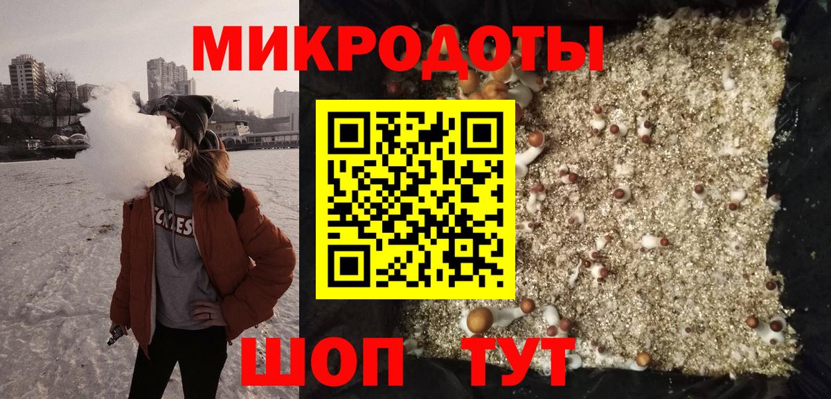Нерюнгри  Галлюциногенные грибы прущие грибы  Вход с VPN  Псилоцибиновые грибы прущие грибы 