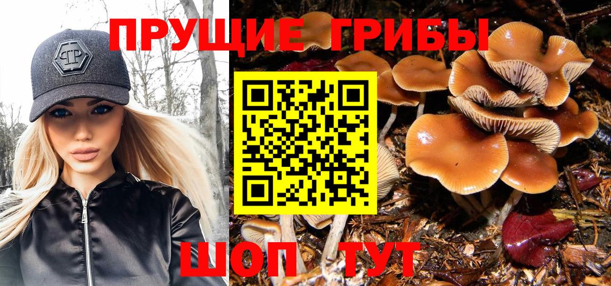 Кокаин  Cocaine  Вход с VPN  Нерюнгри  Меф кристаллы  МАРИХУАНА 